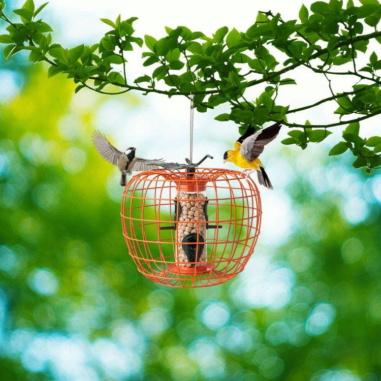 Squirrel-Proof Pumpkin Bird Feeder with Cage and 4 Metal Ports  |   Chicken Coops