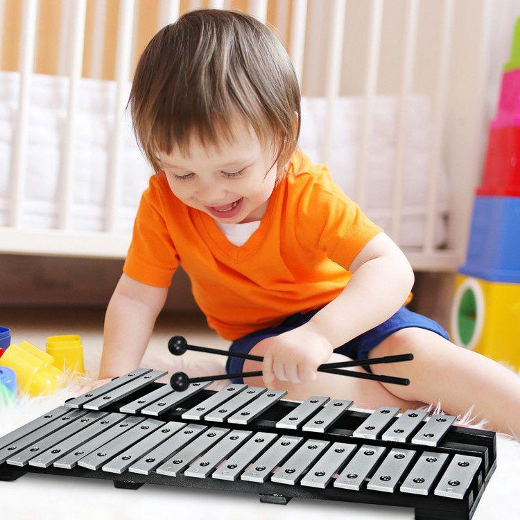 Foldable Aluminum Glockenspiel Xylophone 30 Note with Bag Black + Silver |   Drums & Percussion